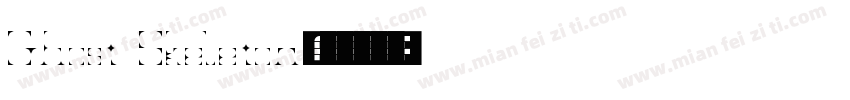 Ghost Skeleton字体转换